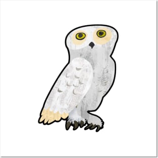 White owl Posters and Art
